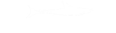 Shark24center